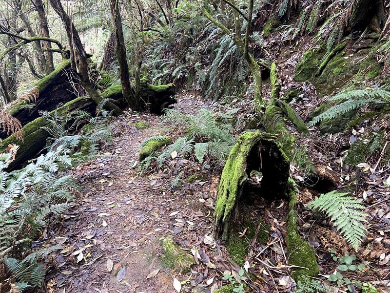 Blackwood - Lerderderg Heritage River Walk