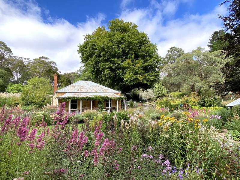 Blackwood - The Garden of St Erth