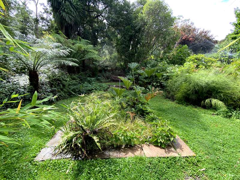 Blackwood - The Garden of St Erth