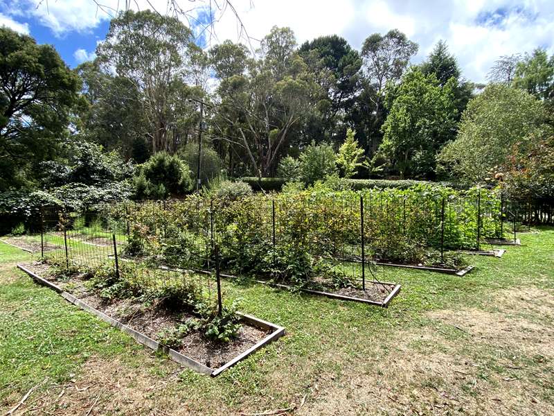 Blackwood - The Garden of St Erth