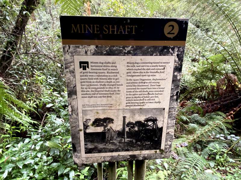 Blackwood - Whipstick Loop Walk