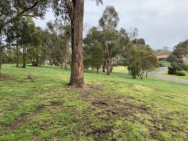 Blackwood Drive Reserve Dog Off Leash Area (Wonga Park)