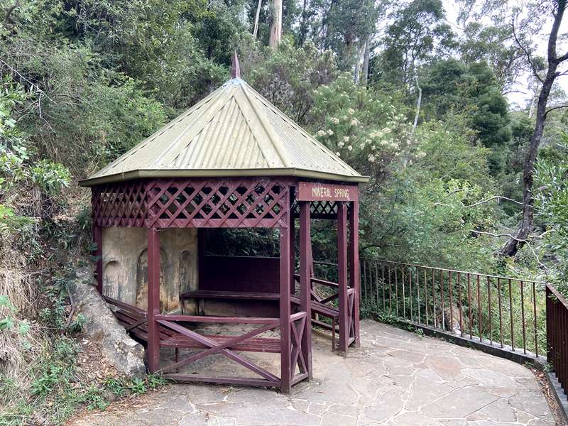 Blackwood Mineral Springs