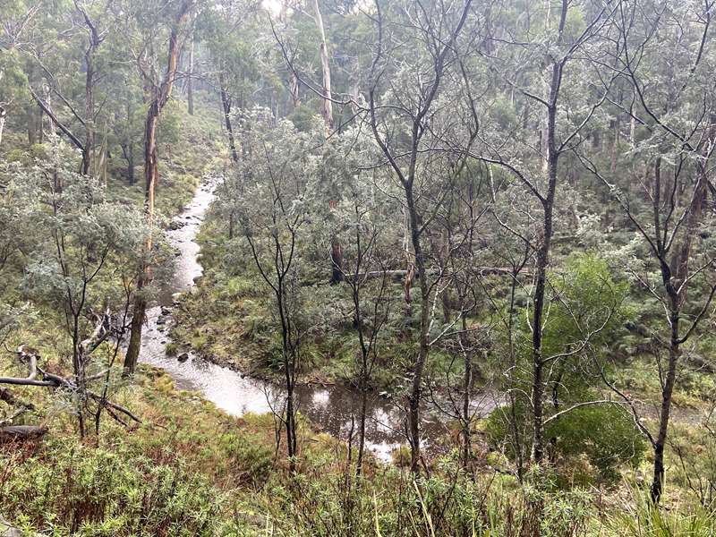 Blakeville - Werribee River Walk