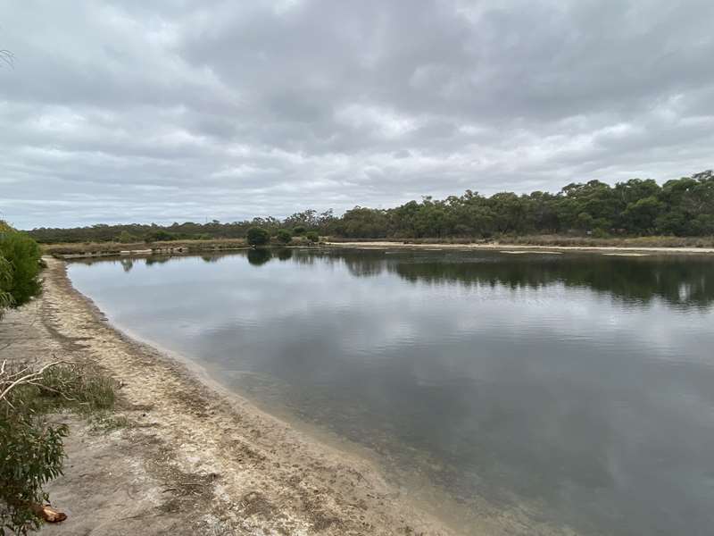 Blind Bight Foreshore Reserve