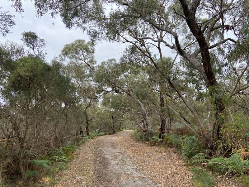 Blind Bight Foreshore Reserve