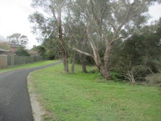 Blind Creek Dog Off Leash Area (Wantirna South)