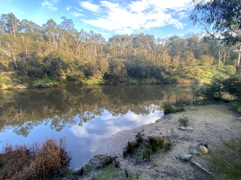 Blue Tongue Bend Walk (Warrandyte North)
