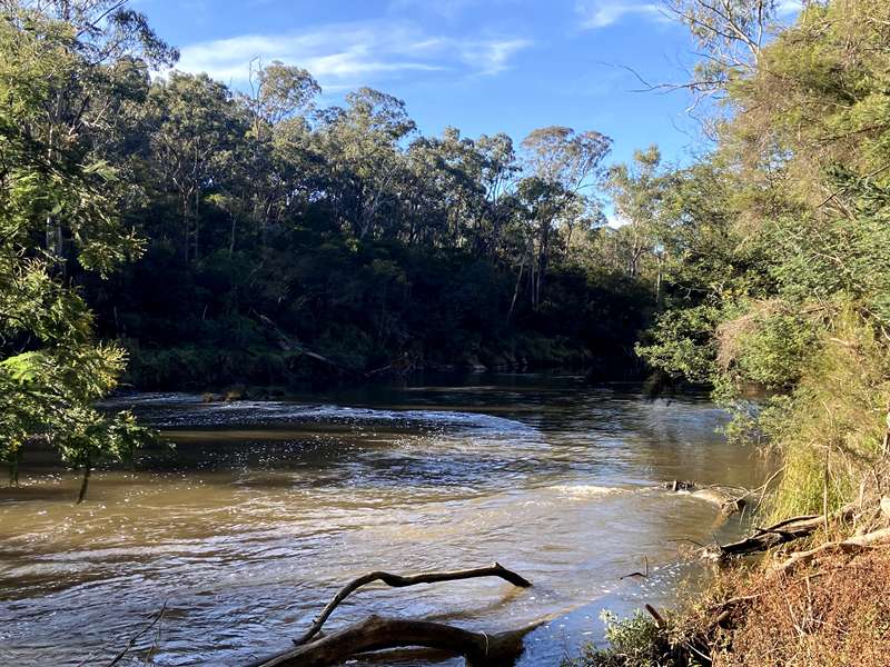 Blue Tongue Bend Walk (Warrandyte North)