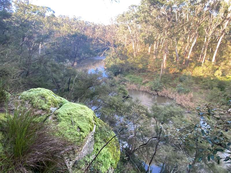 Blue Tongue Bend Walk (Warrandyte North)