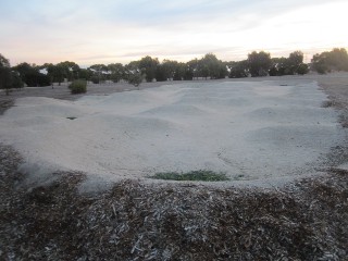 Mount Duneed BMX Track (Kalkarra Park)