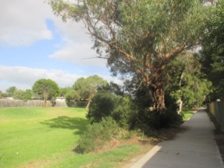 Boggy Creek Link Dog Off Leash Area (Carrum Downs)