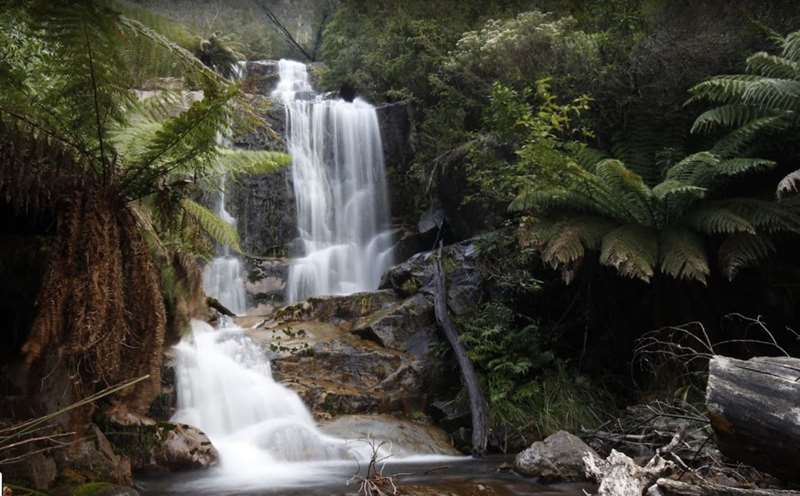 Bogong - Fainter Falls