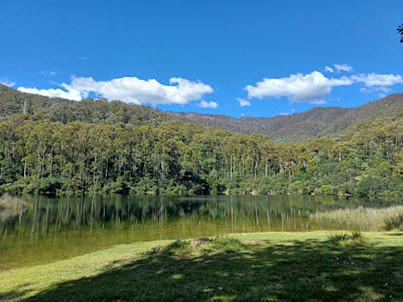 Bogong - Lake Guy Walk