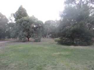 Bogong Reserve Dog Off Leash Area (Glen Waverley)