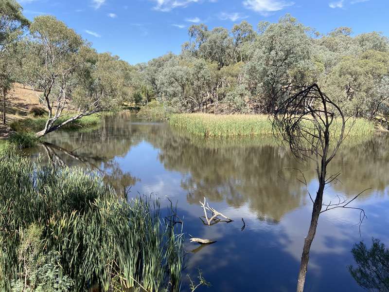 Boho - The Old Weir and Creek Walk