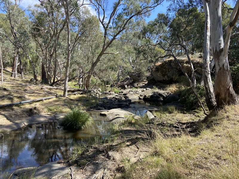 Boho - The Old Weir and Creek Walk