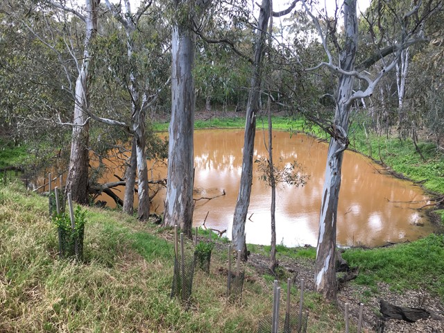 Bolin Bolin Billabong Walk (Bulleen)