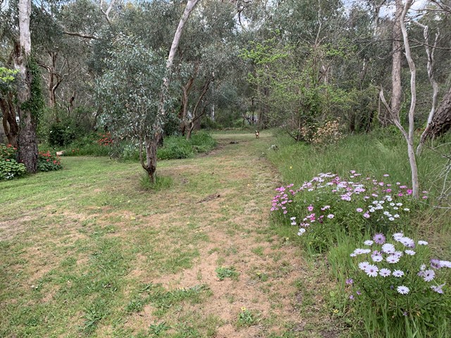 Bolton Street Reserve Dog Off Leash Area (Montmorency)