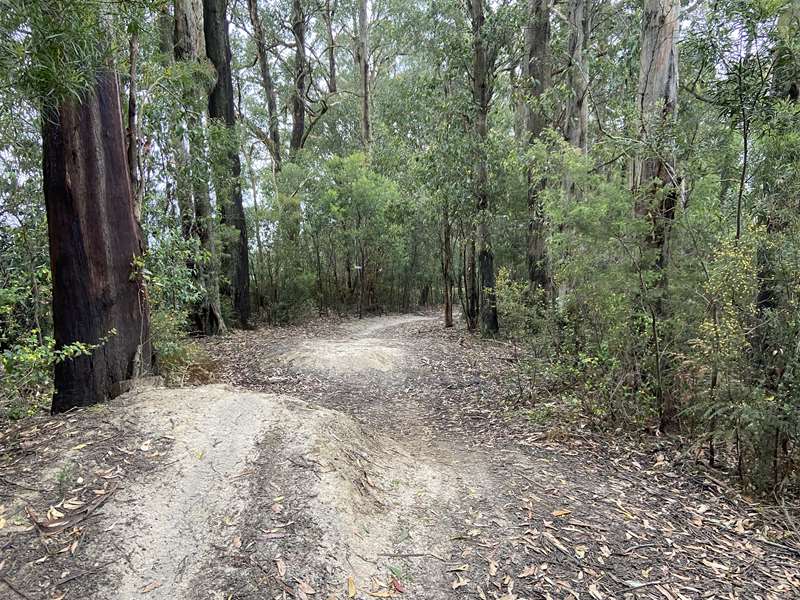 Bowden Spur Mountain Bike Area (Kinglake Central)