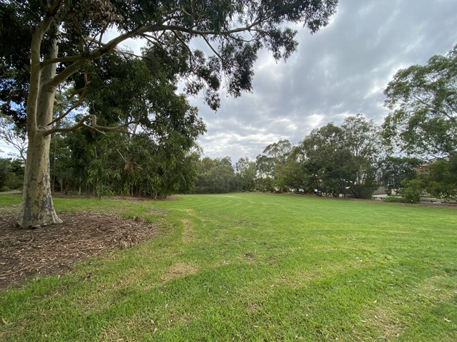 Boyd Park Dog Off Leash Area (Murrumbeena)