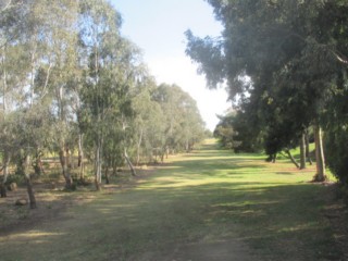 Brady Reserve Dog Off Leash Area (Brunswick West)