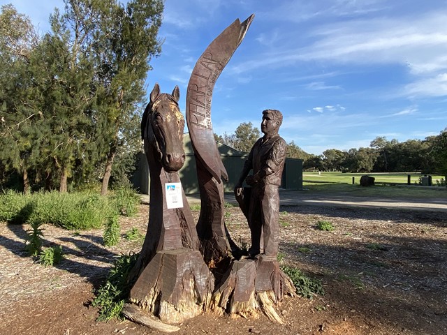 Braeside Park Tree Stump Art (Braeside)