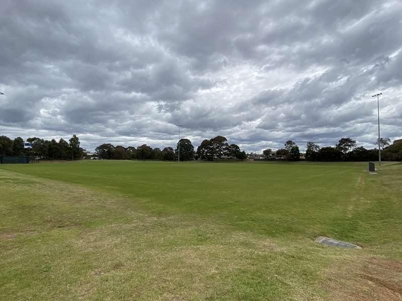 Brandon Park Reserve Dog Off Leash Area (Glen Waverley)