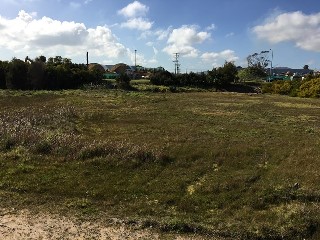 Brasser Reserve Dog Off Leash Area (Dromana)