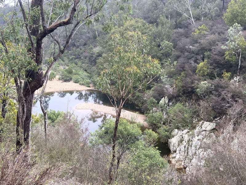 Briagolong - Freestone Creek Walking Track