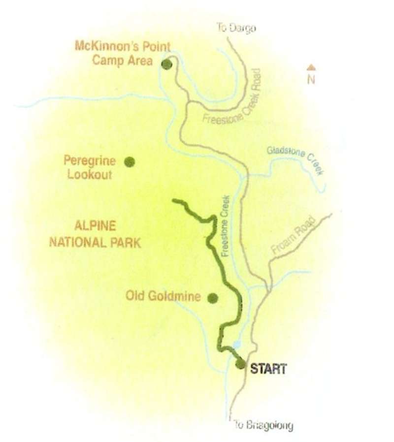 Briagolong – Fern Gully Loop Walk Map
