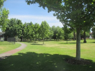 Bridges Reserve Dog Off Leash Area (Coburg)