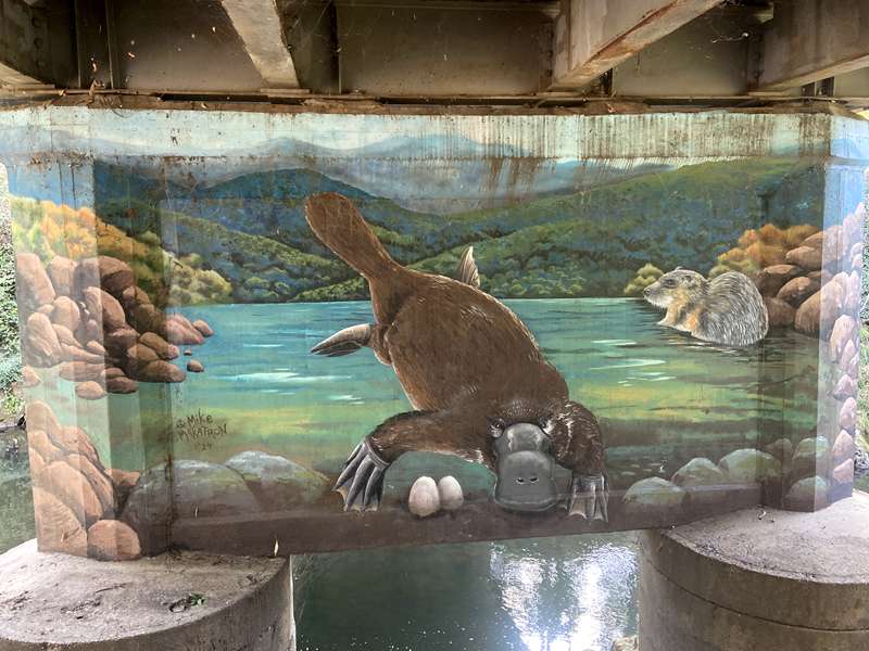 Bright - Canyon Walk