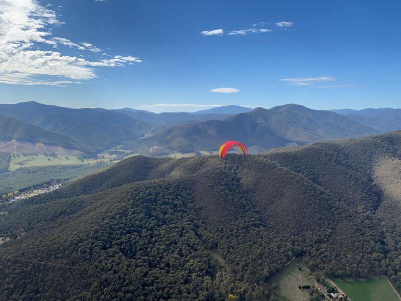 Bright Flight Paragliding