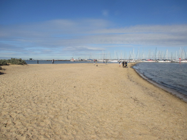 Brighton / Sandown Street Dog Beach (Brighton)