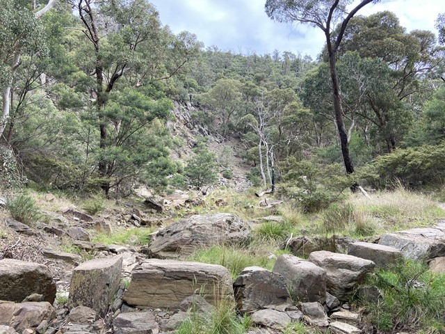 Brisbane Ranges National Park