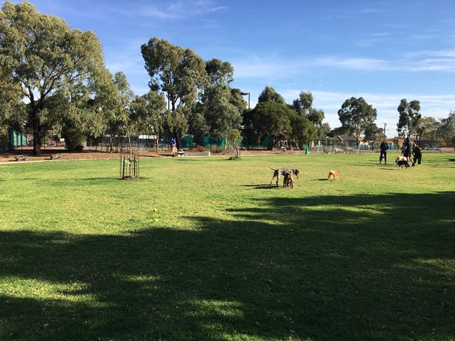 Brooklyn Reserve Fenced Dog Park (Brooklyn)