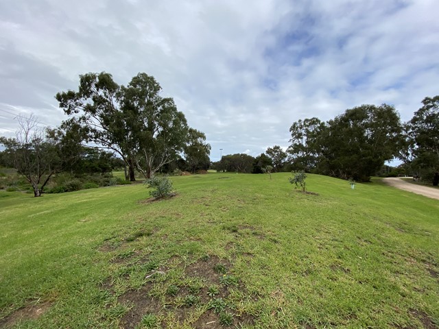 Browns Reserve Dog Off Leash Area (Aspendale)