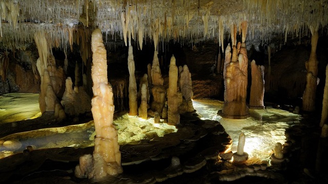 Buchan Caves Reserve