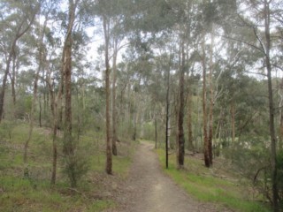 Buck Reserve Dog Off Leash Area (Donvale)