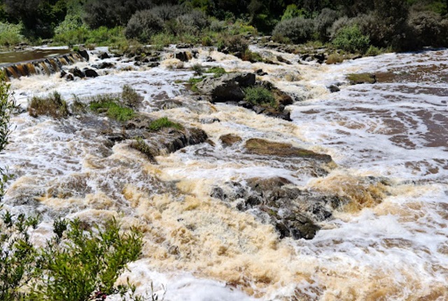 Buckley Falls (Highton)