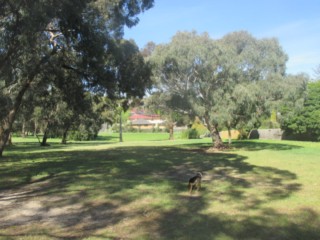 Bulleen Street Reserve Dog Off Leash Area (Doncaster East)