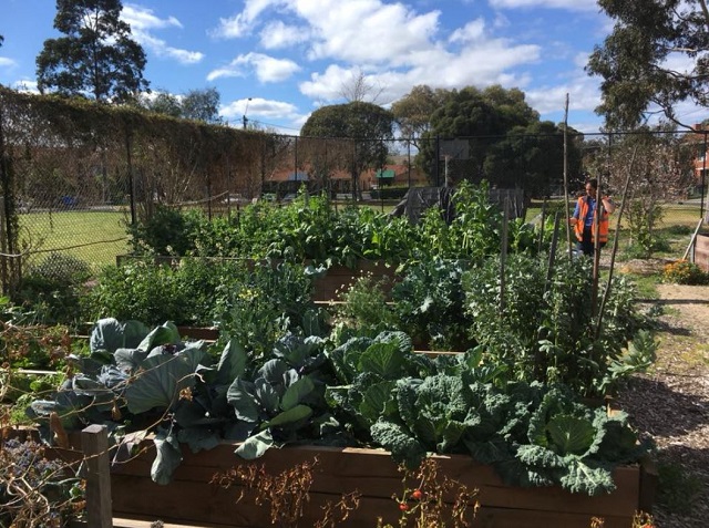 Buna Reserve Community Garden (Heidelberg West)