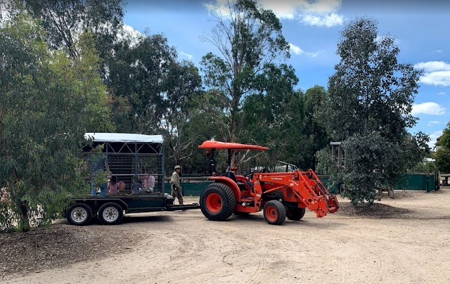 Bundoora Park Childrens Farm