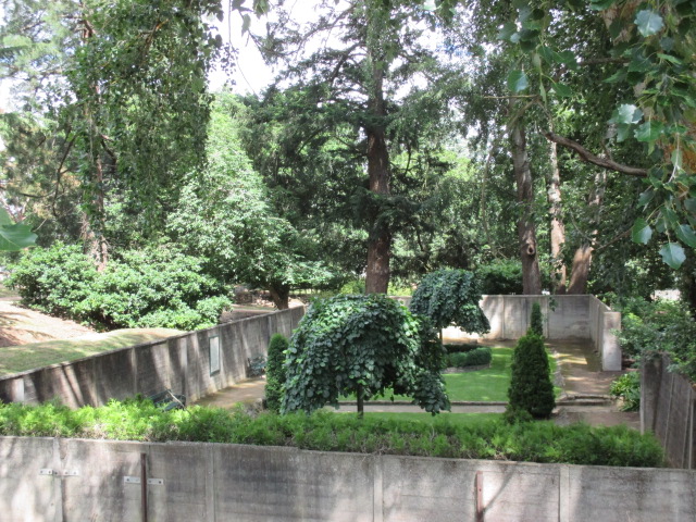 Buninyong Botanic Gardens (Buninyong)