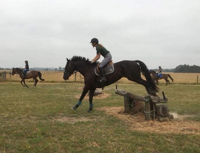 Guide to Horse & Pony Riding Clubs in Melbourne