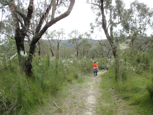 Bunyip State Park (Tonimbuk)