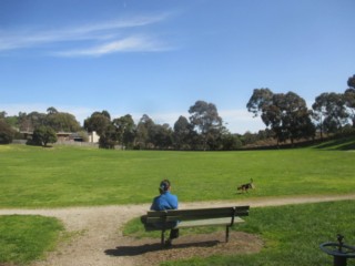 Burgundy Reserve Dog Off Leash Area (Doncaster)