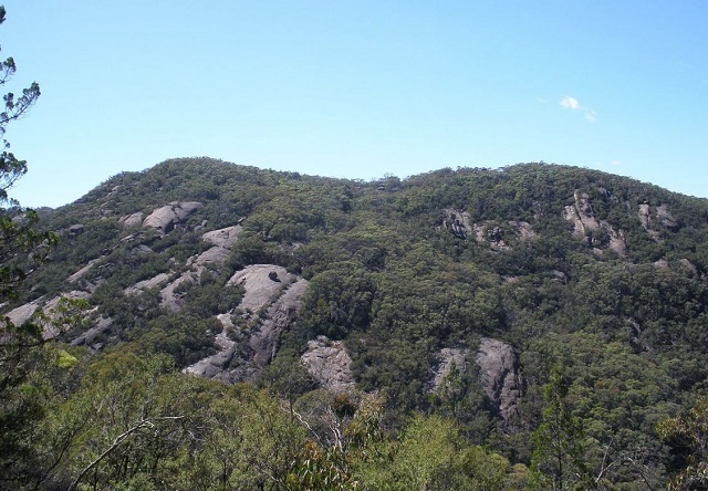 Burrowa-Pine Mountain National Park