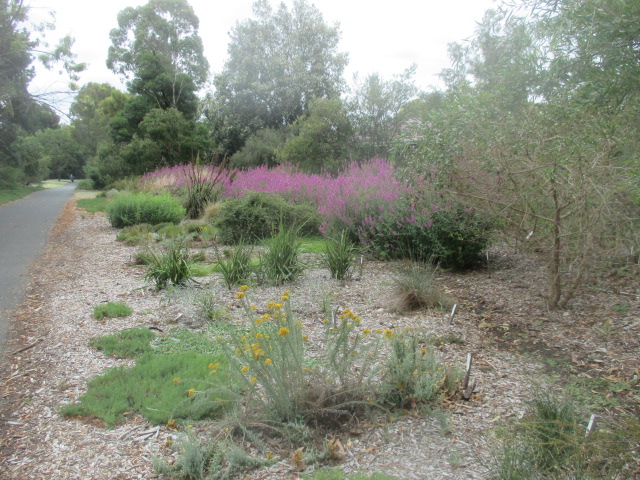 Bushy Creek Parklands (Box Hill North)